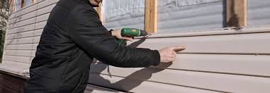 Best Custom Trim and Detailing for Siding  in Lockney, TX